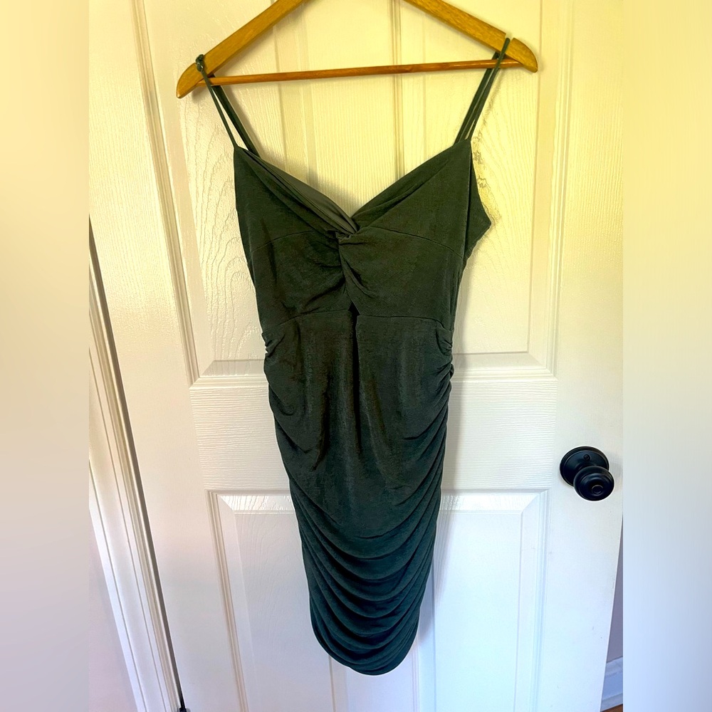 Angel Biba sage dress, brand new